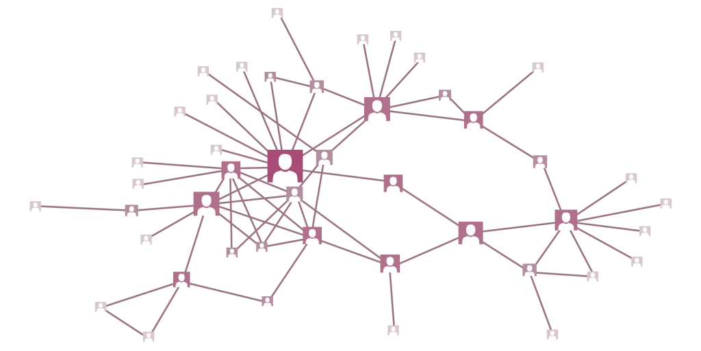 Everett Covert Networks